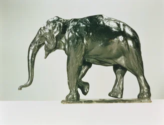 Biały Słoń (brąz)